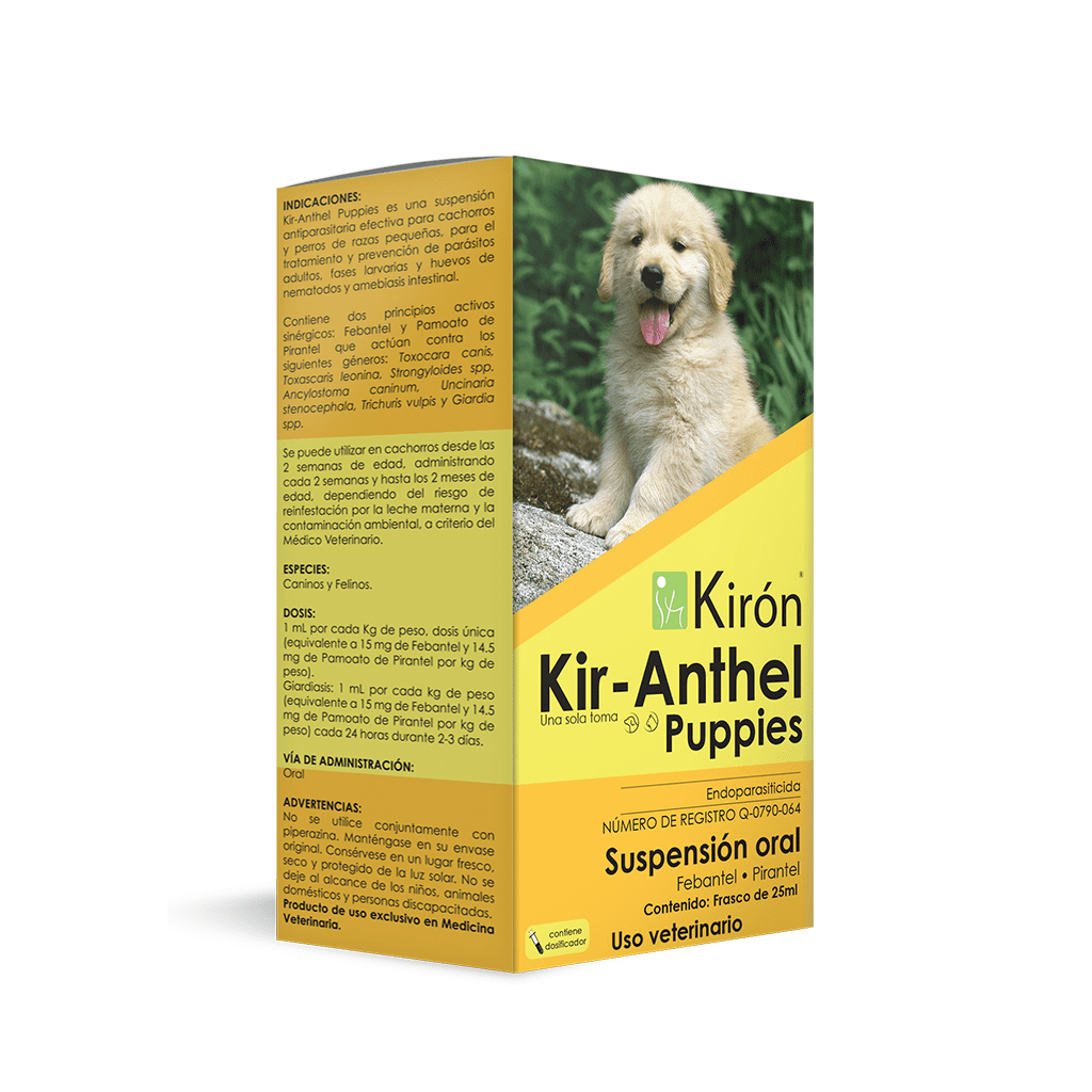 Kir-Anthel Puppies Suspensión Kiron Kir-Anthel Puppies Suspensión Kiron